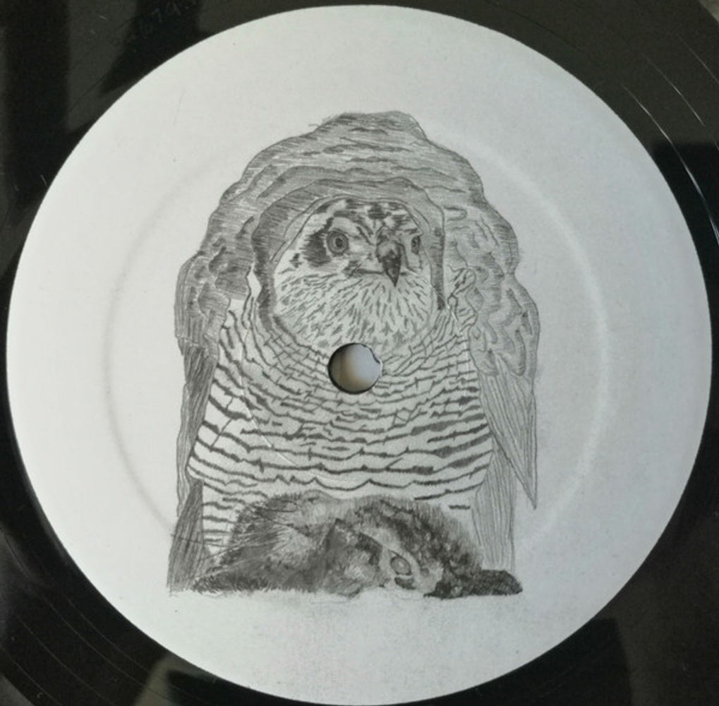 Wrekmeister Harmonies – We Love To Look At The Carnage (LP Vinyl) Vinyl Record