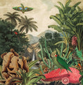 Imaginary Island Music Vol. 1: Canary Islands |