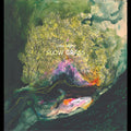 Slow Grass (EMERALD GREEN VINYL) (Cassette) Vinyl Record
