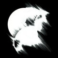 Tundra Remixed Vinyl Record