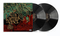 Lamb Of God Ashes Of The Wake (Deluxe Edition, Bonus Tracks, Anniversary Edition, Expanded Version) (2 Lp's) Vinyl Record