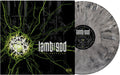 Into Oblivion [Explicit Content] [Grey Marble Vinyl] Vinyl Record