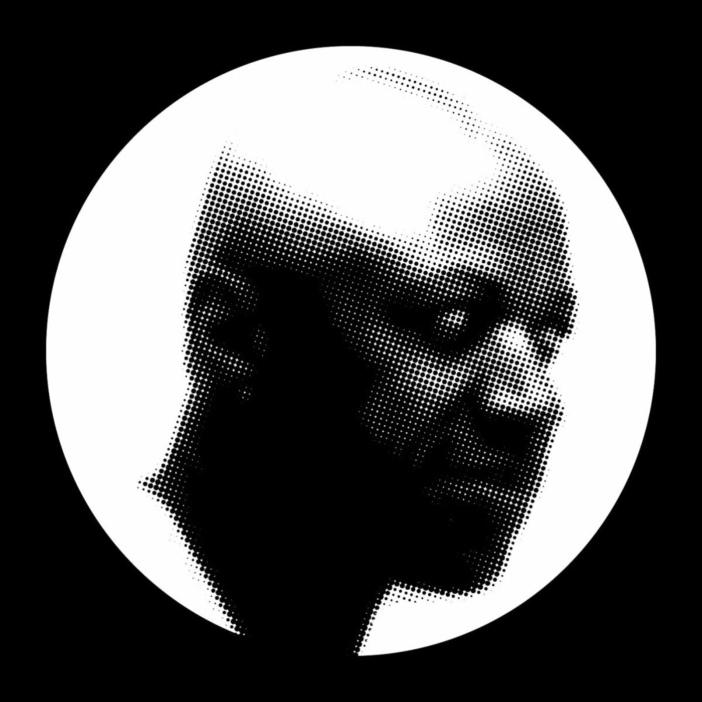 Laraaji - Remixes Vinyl Record