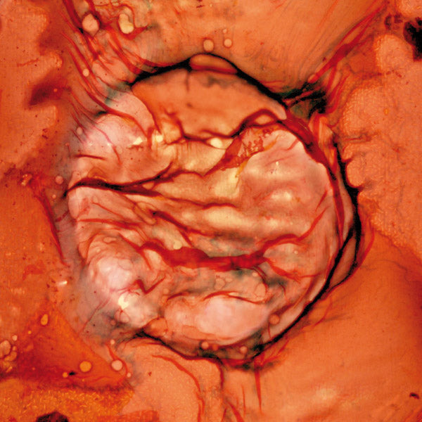 Bastet Vinyl Record