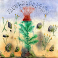 Fleur De Chagrin |
