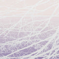 Lea Bertucci - Metal Aether Music CD