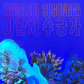 PRE-ORDER Leenalchi - Sugungga [Vinyl] Vinyl Record