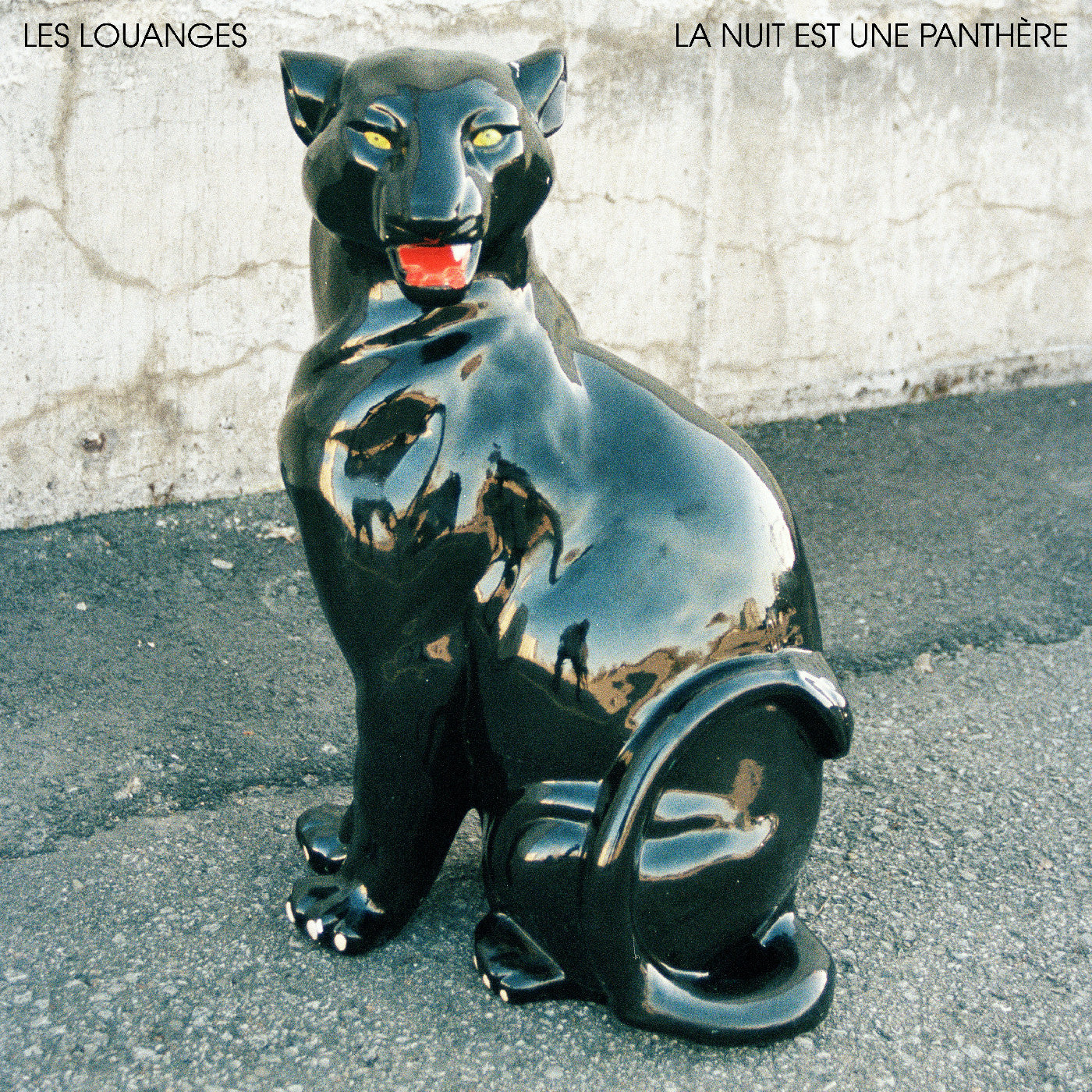 La Nuit Est Une Panthère Vinyl Record