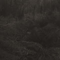 Lesley Mok - Transient [Vinyl] Vinyl Record