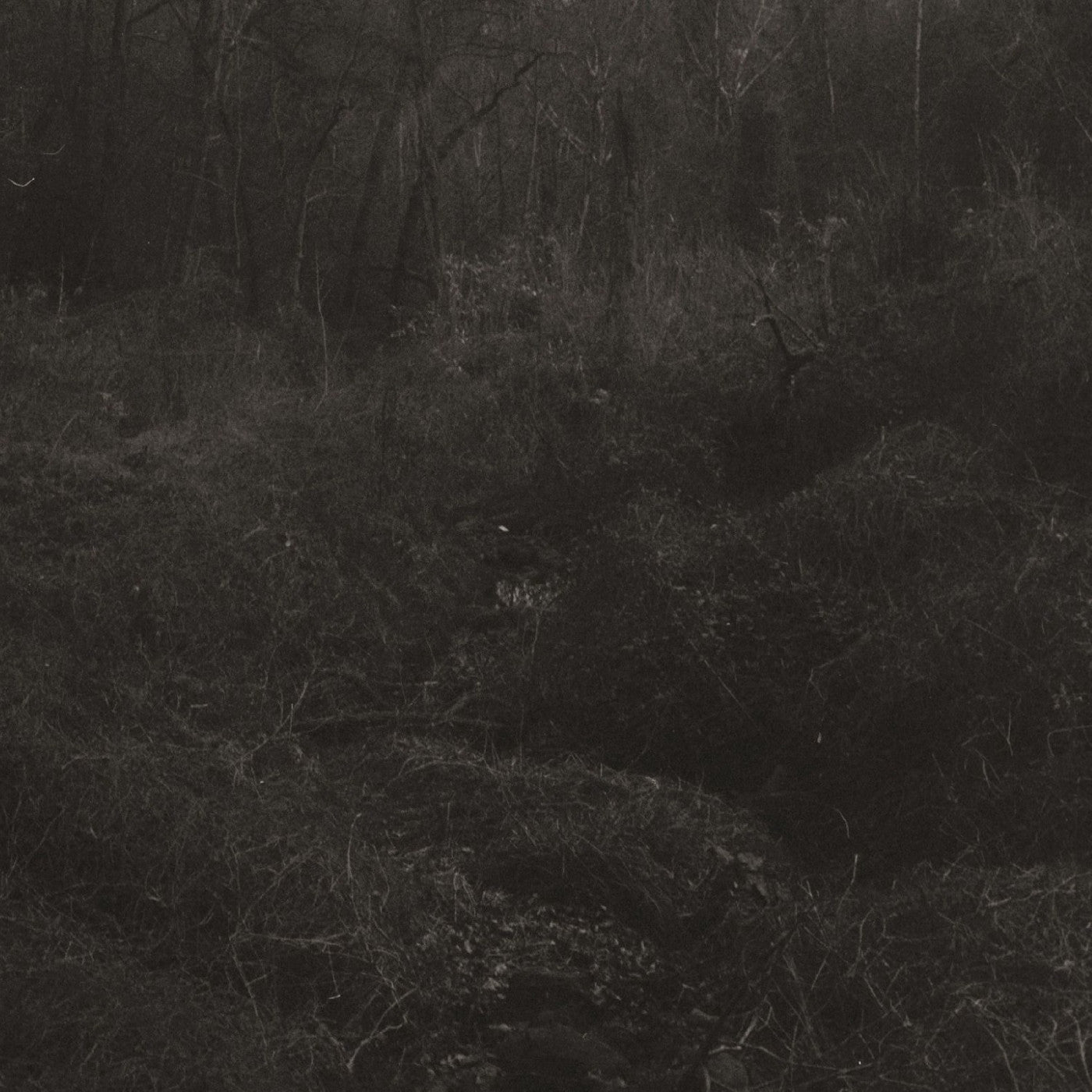 Lesley Mok - Transient [Vinyl] Vinyl Record