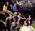 We Are The Levitts Music CD