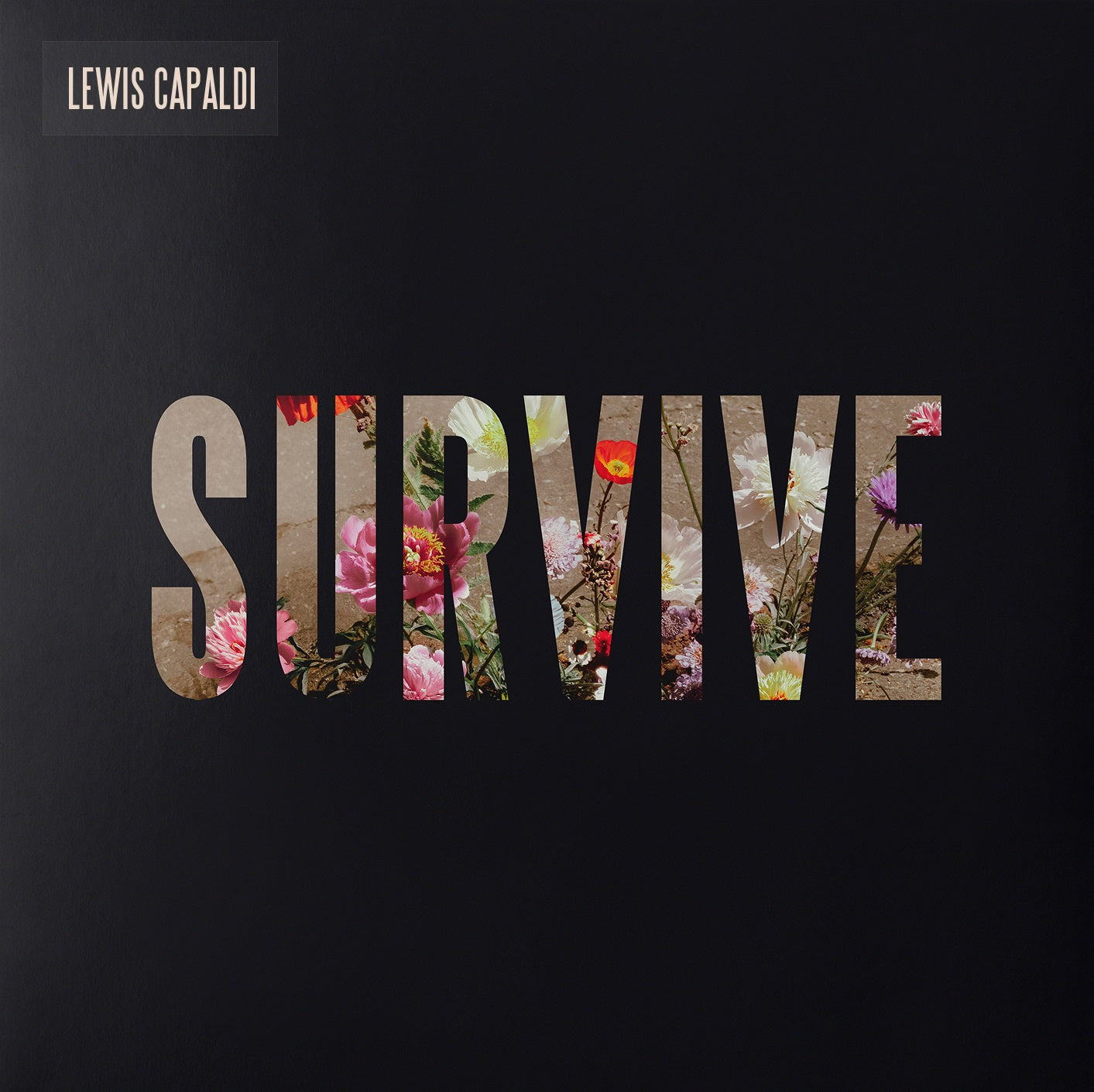 Lewis Capaldi - Survive [Clear 12" EP] |