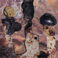Finish Him Music CD