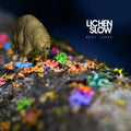 Rest Lurks Music CD