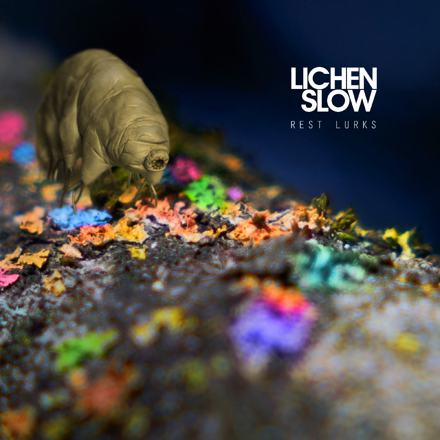 Rest Lurks Music CD