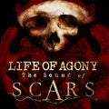 The Sound of Scars |