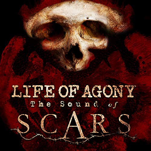 The Sound of Scars |