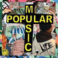 Popular Music Vinyl Record