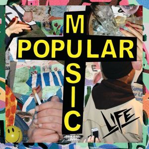 Popular Music Vinyl Record