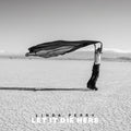 Let It Die Here (Desert Glass Vinyl) Vinyl Record