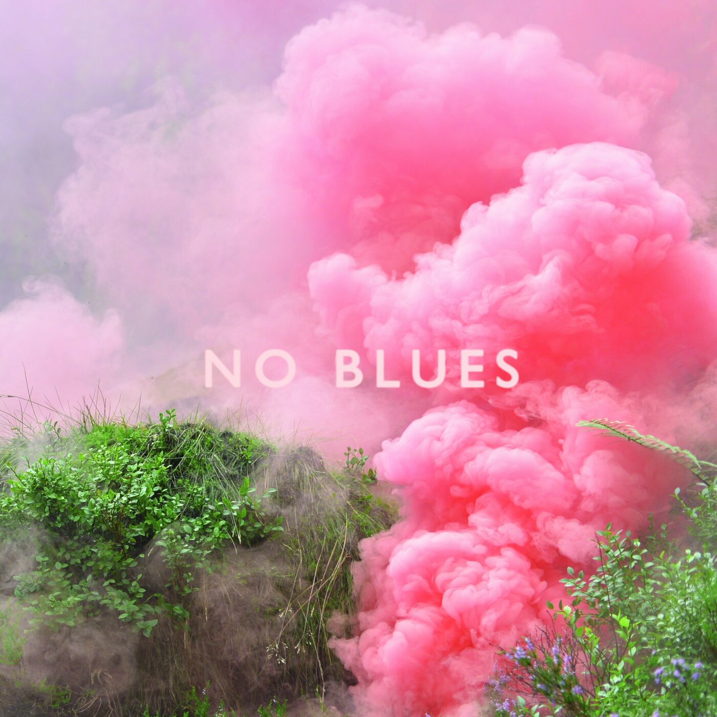 No Blues Music CD