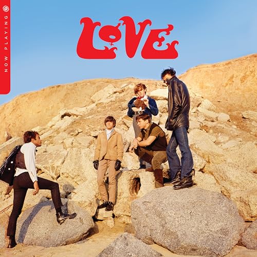 Love Now Playing Vinyl Record