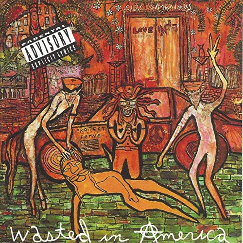 WAYSTED IN AMERICA |