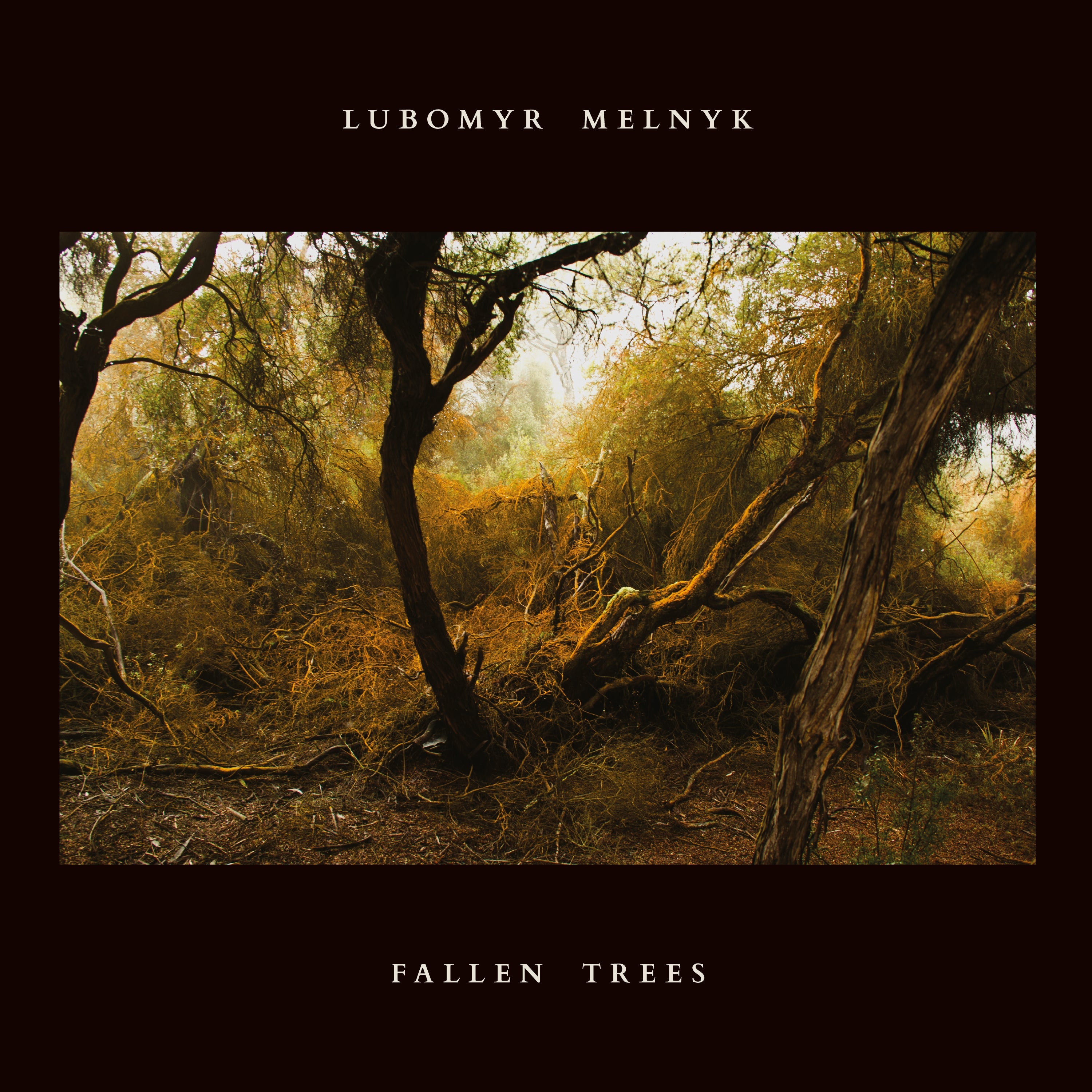 Fallen Trees Music CD