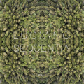 Sequentia Vol. 1 Vinyl Record