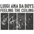 Feeling The Ceiling Vinyl Record