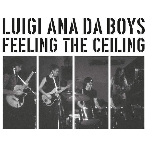 Feeling The Ceiling Vinyl Record
