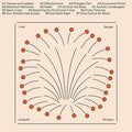 LUKE SANGER - Languid Gongue [Vinyl]