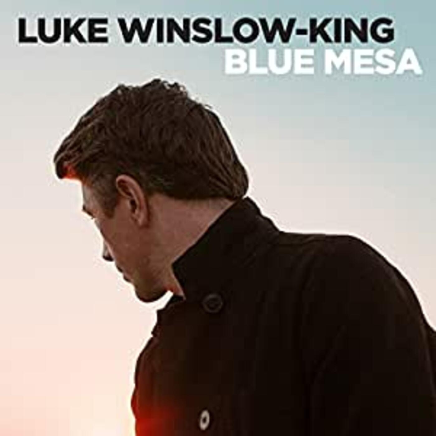 Blue Mesa Vinyl Record