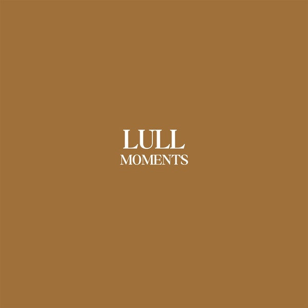 Moments Vinyl Record