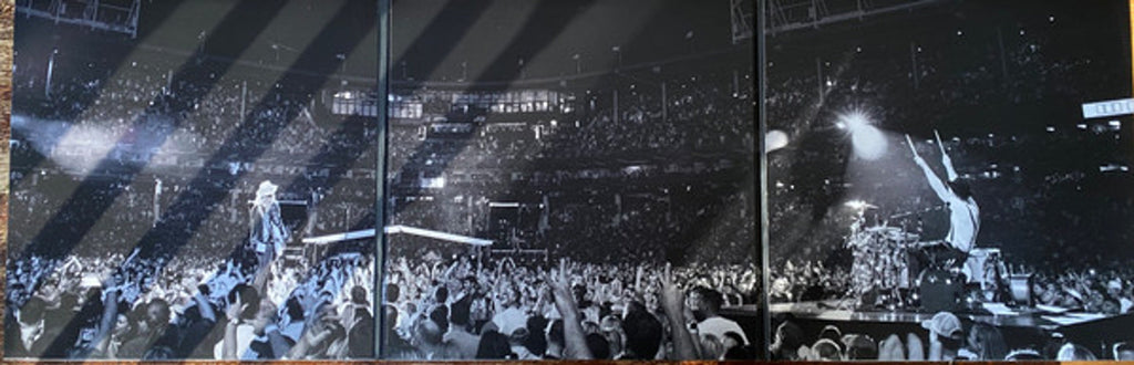 Lumineers – Live At Wrigley Field (3-LP Vinyl) Vinyl Record