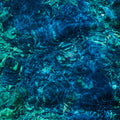 Luminescent Creatures (Vinyl) Vinyl Record