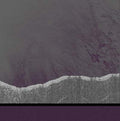 Apophenia Vinyl Record
