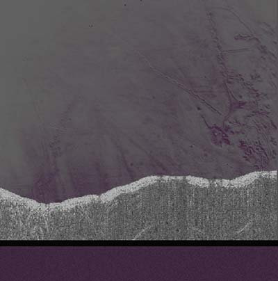 Apophenia Vinyl Record