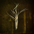 Mnemosyne Vinyl Record