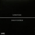 LUNGFISH - Indivisible Vinyl Record