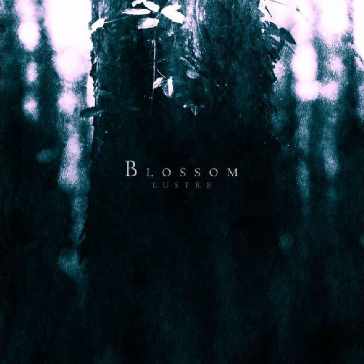 Blossom Music CD