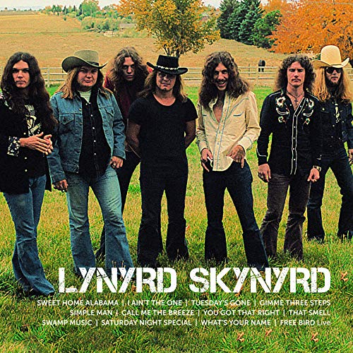 Lynyrd Skynyrd - Icon (VINYL) | Mint (M) Mint (M)