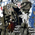 F4 Fake Music CD