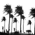 Crollo Nervoso |