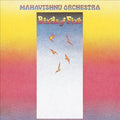 BIRDS OF FIRE |