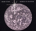 Decibels of Gratitude Music CD