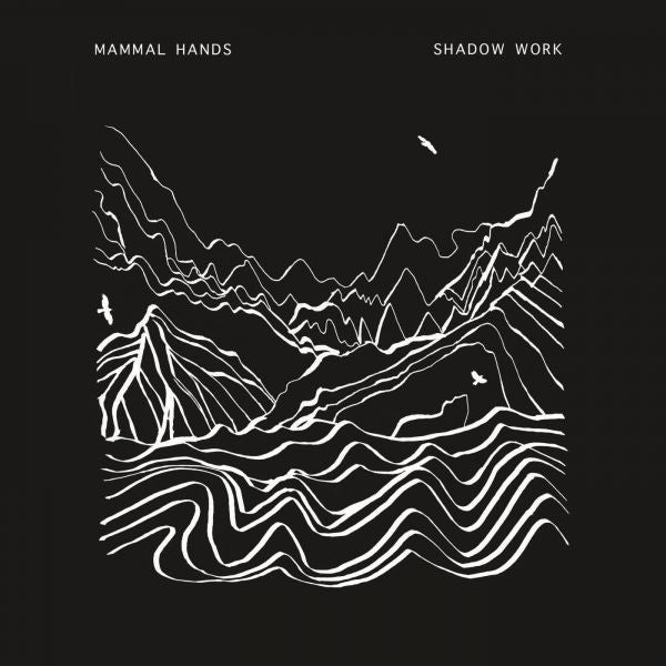 Shadow Work Vinyl Record
