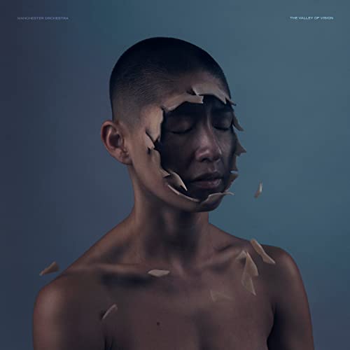 The Valley Of Vision [LP] Vinyl Record