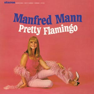 Pretty Flamingo Vinyl Record