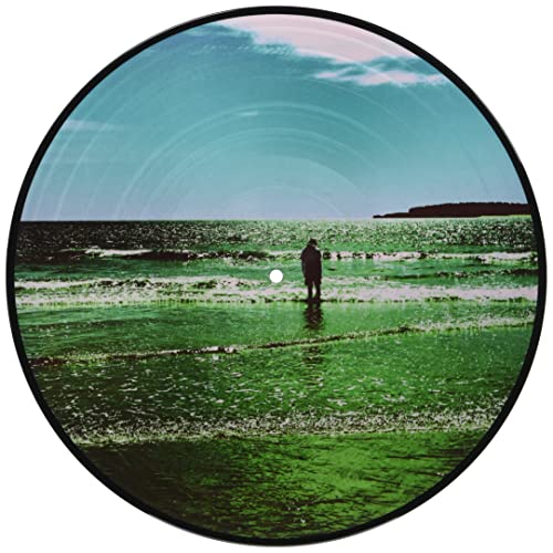Ultra Vivid Lament (Picture Disc Vinyl) [Import] Vinyl Record